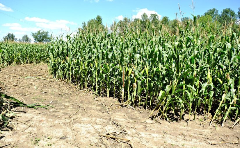 Time For Autumn Vacay!