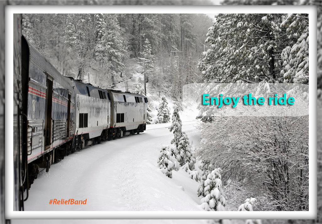 Hop Aboard, It’s Fun!