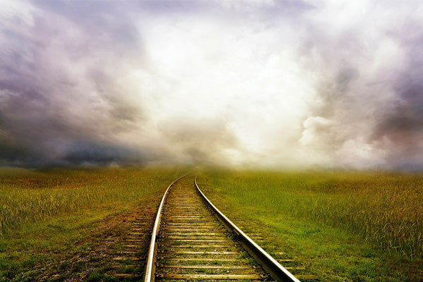 Motion Sickness: VR And IRL